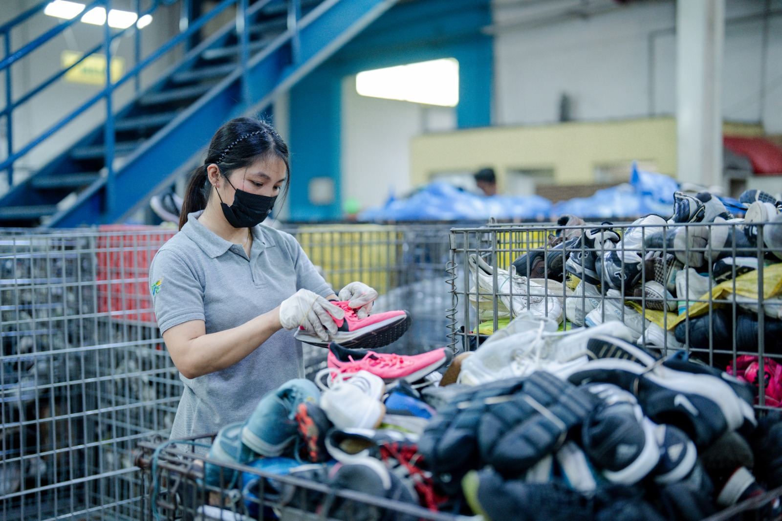Grader inspecting trainers at a sorting cage